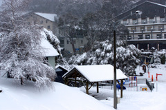 Falls Creek village bowl under a blanket of fresh snow